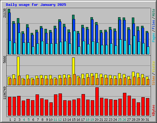 Daily usage for January 2025
