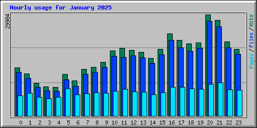 Hourly usage for January 2025